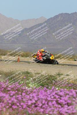 media/Feb-04-2023-SoCal Trackdays (Sat) [[8a776bf2c3]]/Turn 15 Inside Blooming (1050am)/